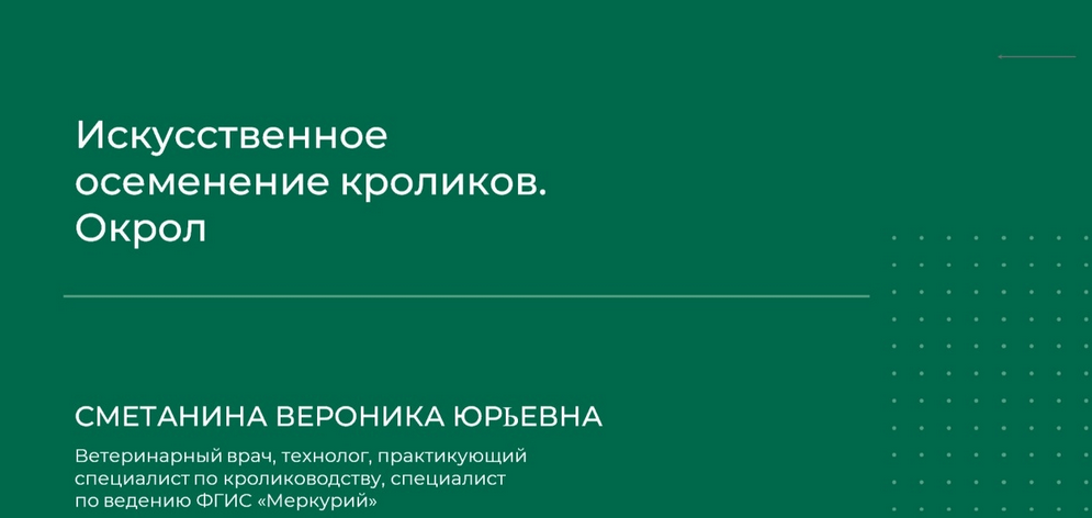 1711553216868.png