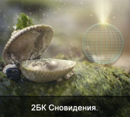 1730959037305.png