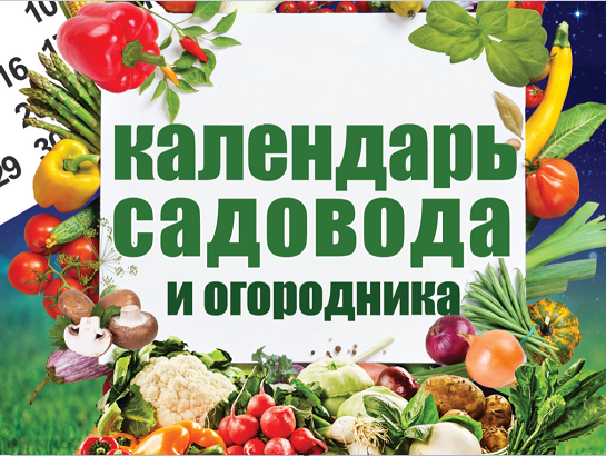 1734935094238.png