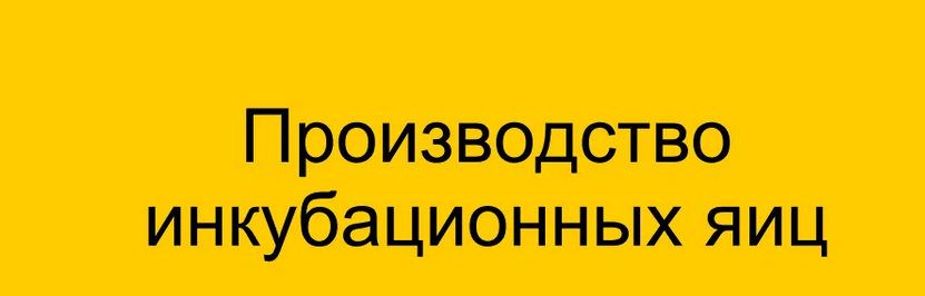 1706249968605.png
