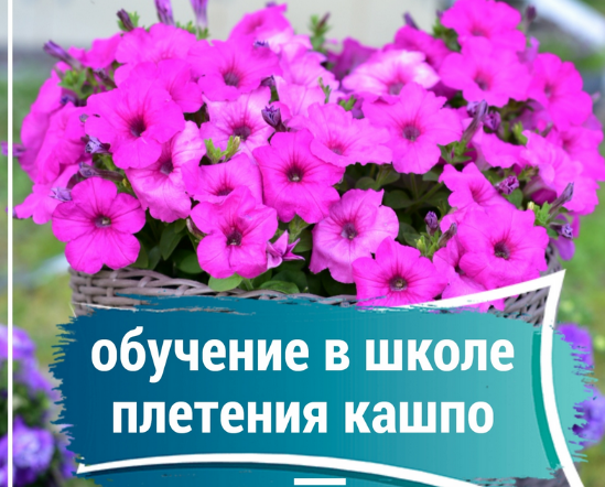 1722972555187.png