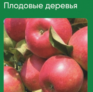 1729340816913.png