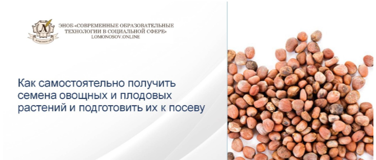 1708776307171.png
