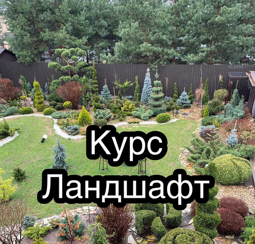 слив [Ева. Сад своими руками] Ландшафт (2023) скачать бесплатно