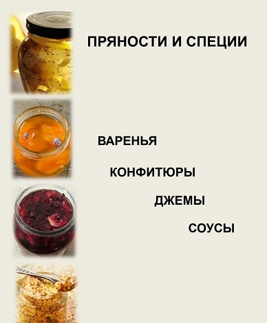 1733900872730.png