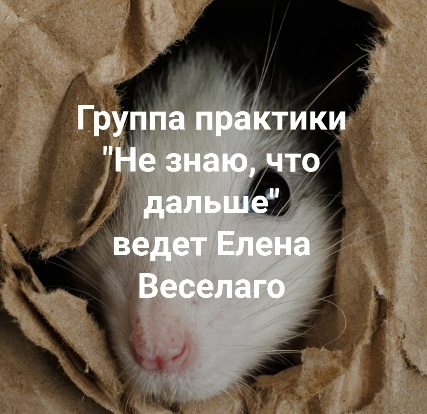 1730115127829.png