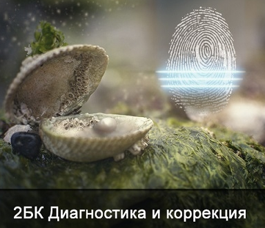 1734077417216.png