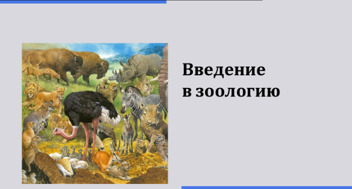 1721106108289.png