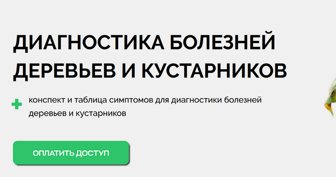 1743142397269.png
