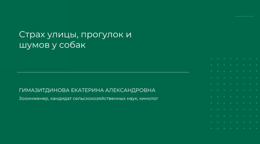 1710141944665.png