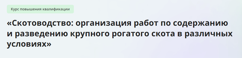 1710141803500.png