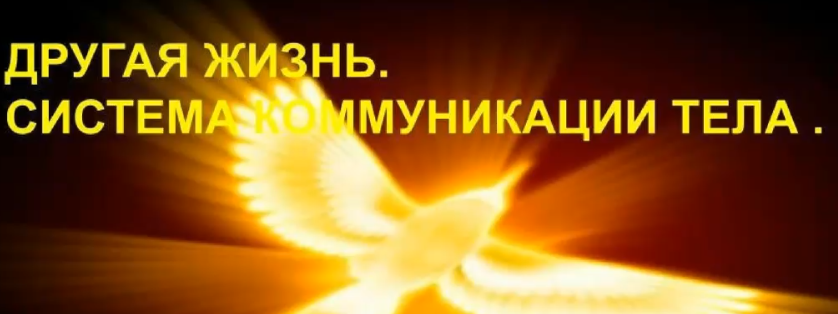 1658653110212.png