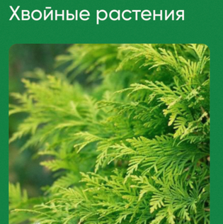 1729340845650.png