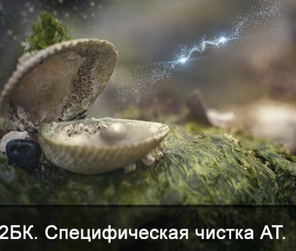 1739130204316.png