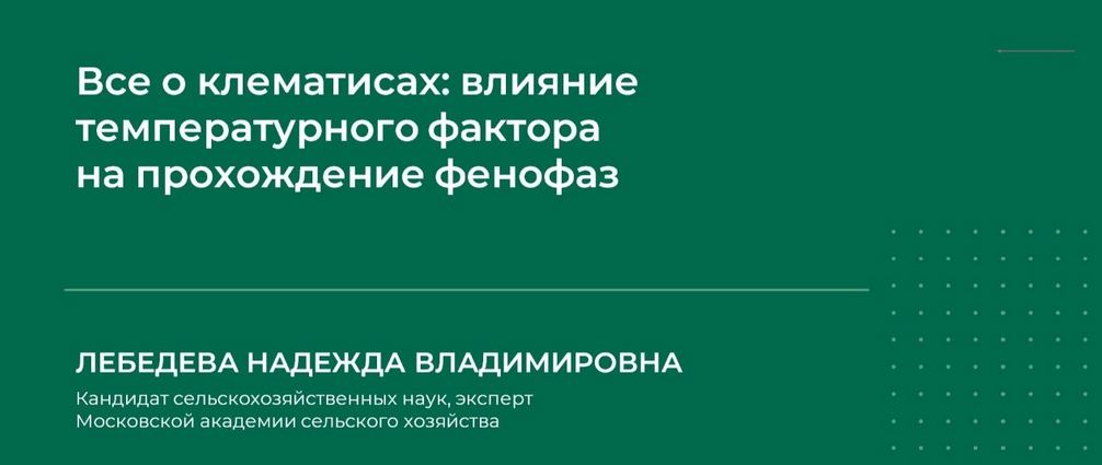 1717396181016.png