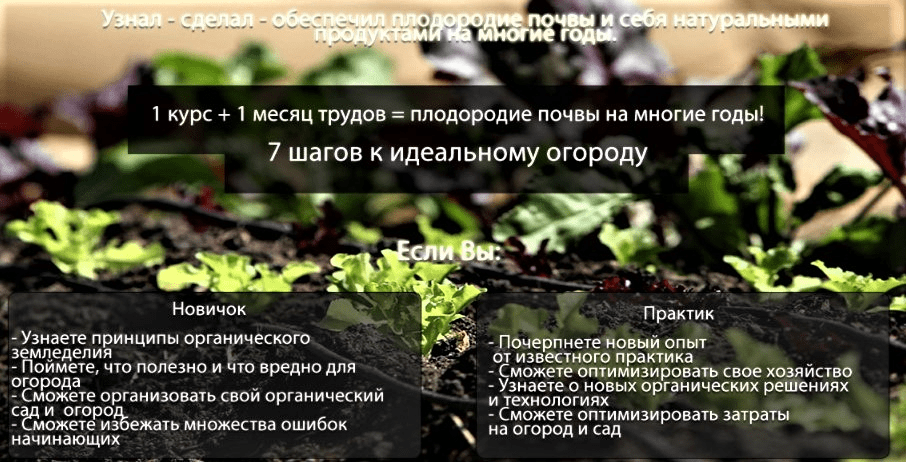 1665562073271.png