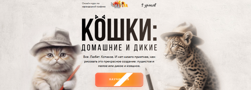1732099027648.png