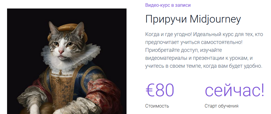 1703142825408.png