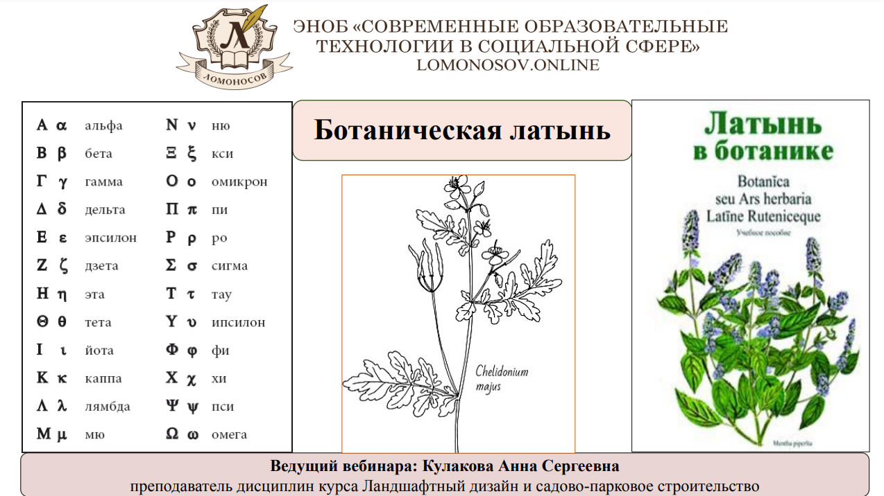 1706786579195.png
