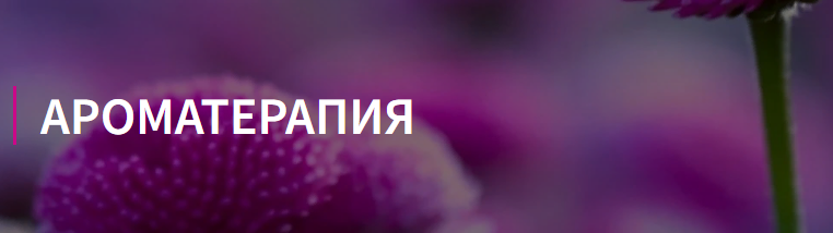 1644499560949.png