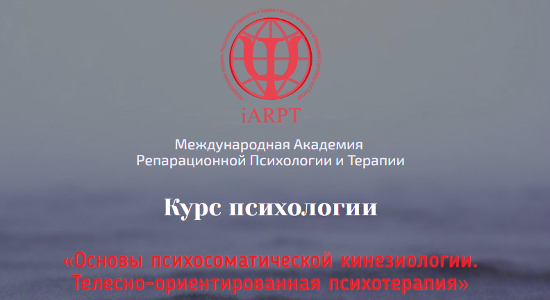 1698577386427.png