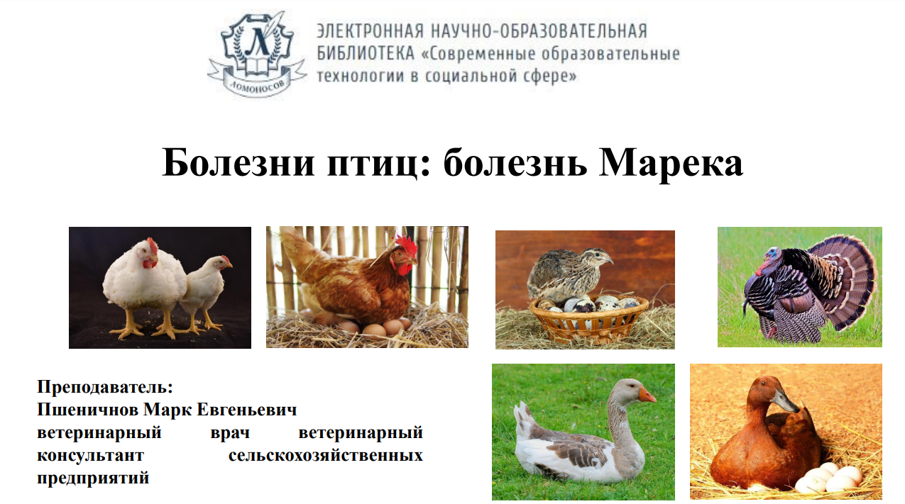1706250249162.png