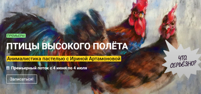 1640170851511.png