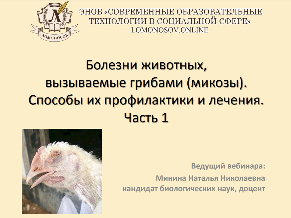 1710142312848.png