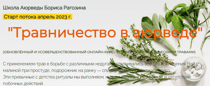 1684138478818.png