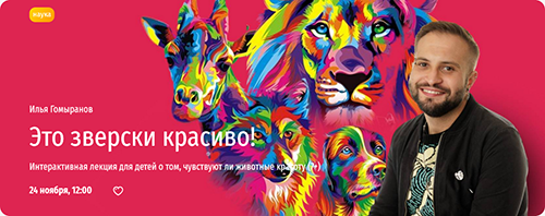 1734328195303.png