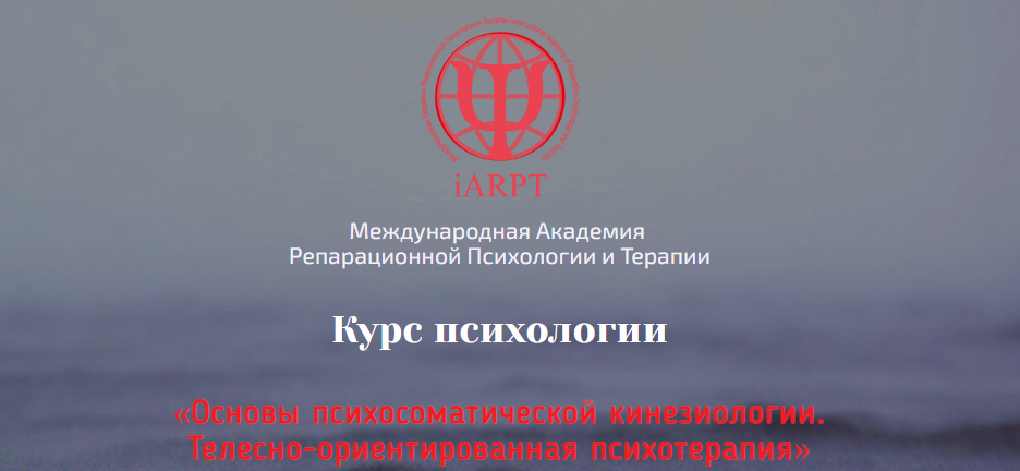 1698577362794.png