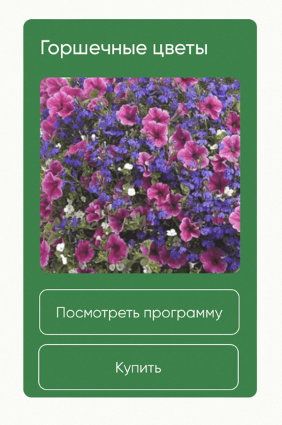 1725779980462.png