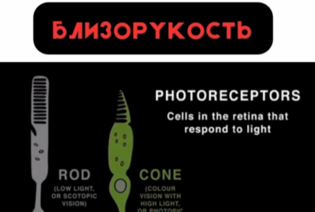 1736414533150.png