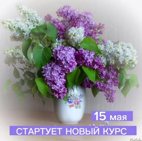 1687417499729.png