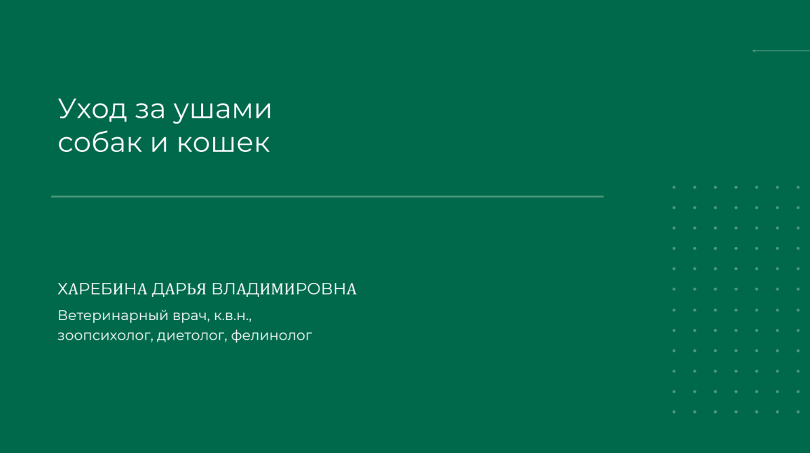 1708673686226.png