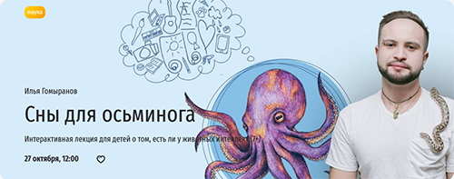 1731231619066.png