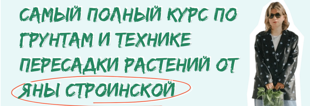 слив [plants.coach] Яна Строинская ― Мини-курс по пересадке растений (2024)