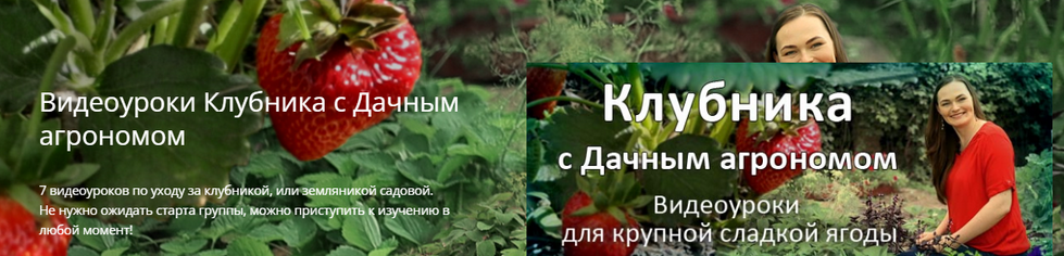 слив [Дачный агроном] Видеоуроки Клубника от А до Я (2022)