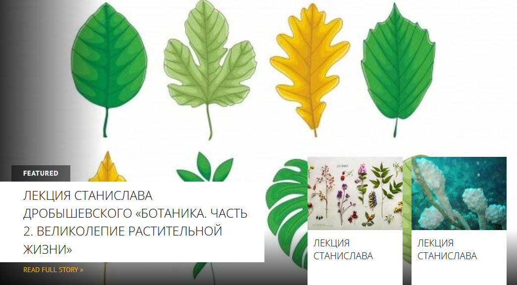 1707987854426.png