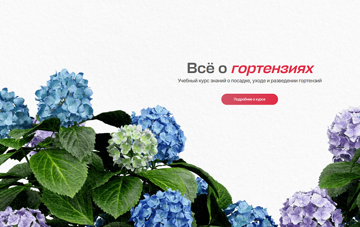 1725779928928.png