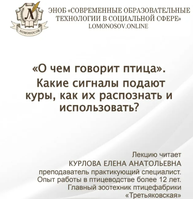 1704440236502.png