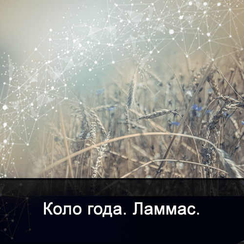 1659519511827.png
