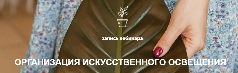 1719852050833.png