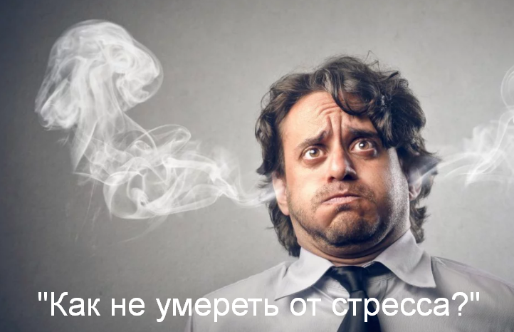 1702448490695.png